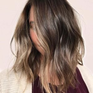 Partial Highlights (Shoulder Length)