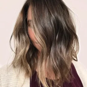 Full Head Highlights (Middle Back)