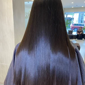 Hair Botox (Long- Heavy)